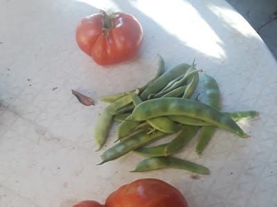 The Coffee Spot and Juicery @ El Rancho Market