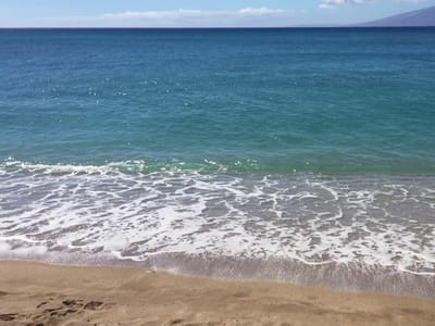 The Coffee Store In Napili