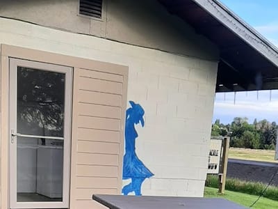 The Cook Shack Cafe at Country Lane