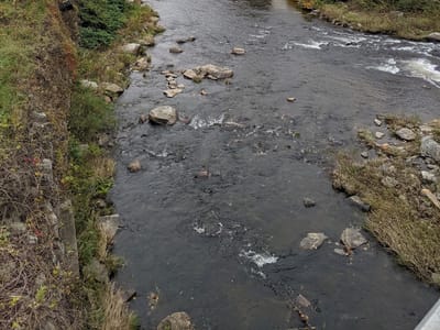 The Corner Market Deli