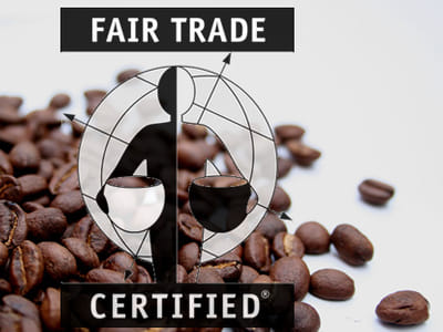 The Cornerstone Convenience Store