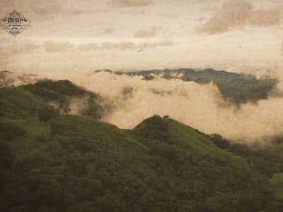 The Cracked Bean Roastery