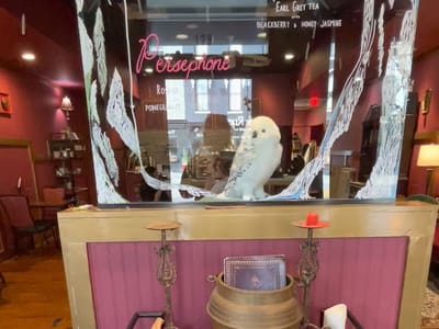 The Creatures' Cauldron Cafe