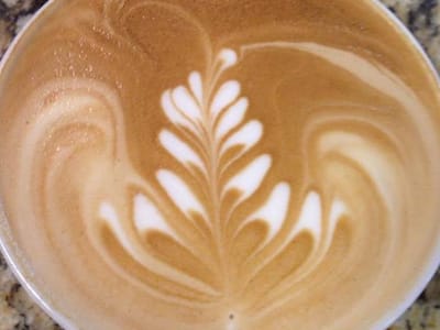 The Daily Addiction Coffee House