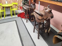 The Desert Dog Coffee Co.