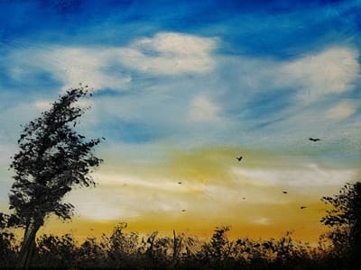 The District Art Gallery & Learning Center