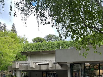 The Drip Lab Espresso & Tea