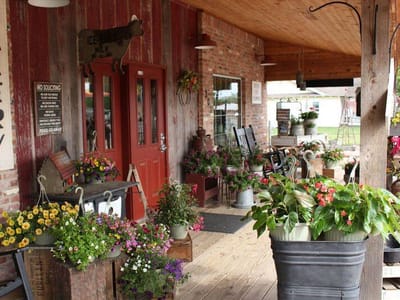 The Farmer's Daughter Market