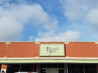 The Feathered Nest