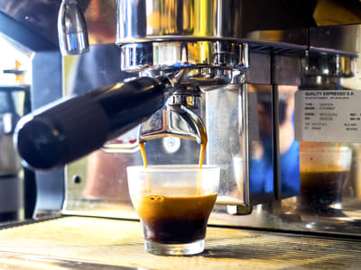 The Free Bird | West Side