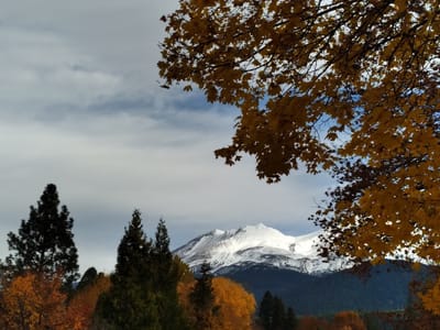 The Gallery In Mount Shasta