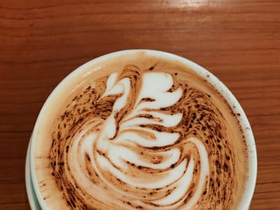 The Girl & The Raven