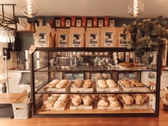 The Girl & The Raven