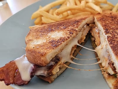 The Girl & The Raven