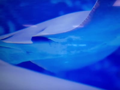 The Googan Coffee Shop