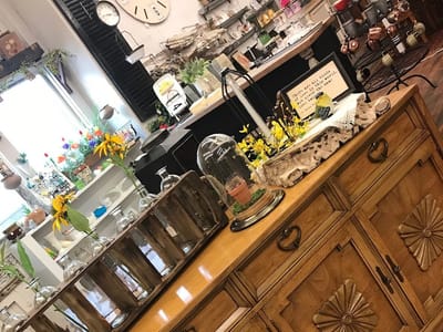 The Gossip | Rumors of an Eclectic Style