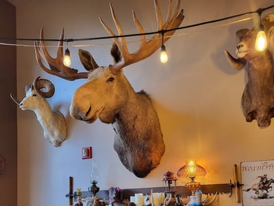 The Great Northern Coffee Bar