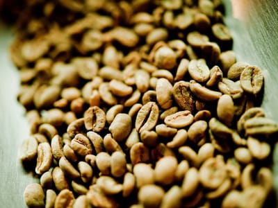 The Green Bean Roasting Co.