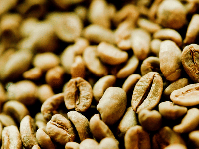 The Green Bean Roasting Co.