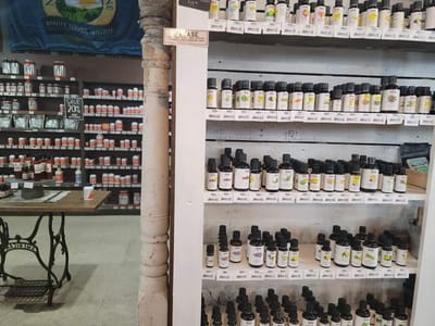 The Green Hen, Natural Living Market & The Luncheonette