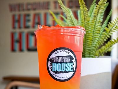 The Healthy House