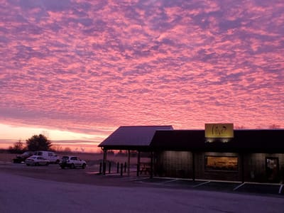 The Hive Coffee House and Cafe