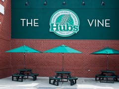 The Hubs Vine