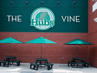 The Hubs Vine
