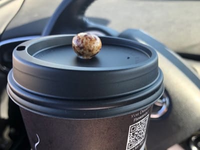 The Human Bean (Henderson Ave)