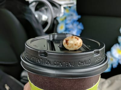 The Human Bean Medford, Biddle Rd.