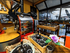 The Java Tree - Roasters, Cafe, and Bakery