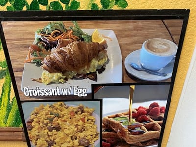 The Java Tree - Roasters, Cafe, and Bakery