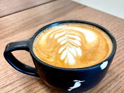 The Kookaburra Dondi