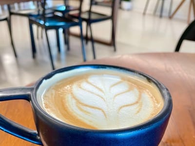 The Kookaburra Nocatee