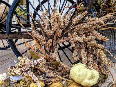 The Lavender Tea Room