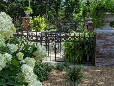 The Lavender Tea Room