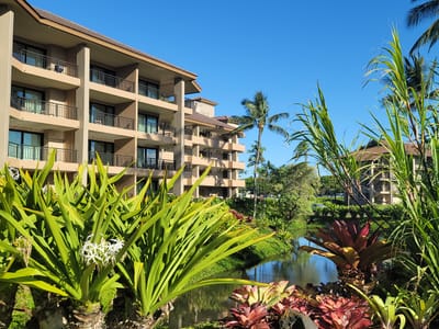 The Link@Sheraton Cafe