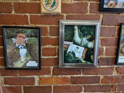 The Little Coffee Bean