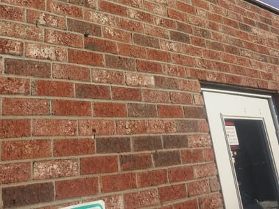 The Little Coffee Bean