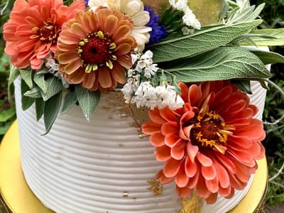 The Little Dipper Café & Bakery