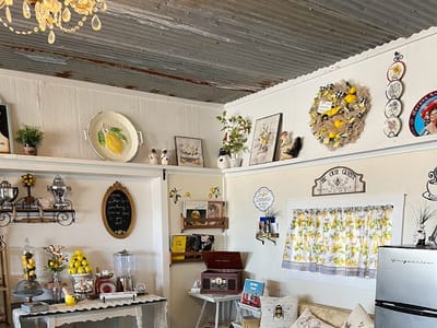 The Little Lemon Shop
