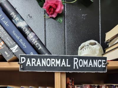 The Mad Raven Coffee & Books