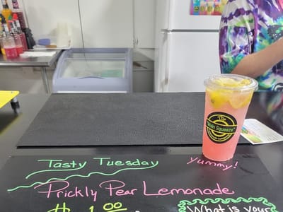 The Main Squeeze Lemonade Company