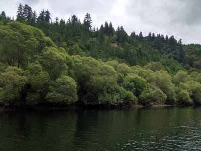 The Mapleton Caffeination Station