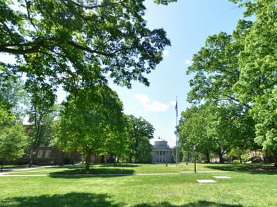 The Meantime Coffee Co.