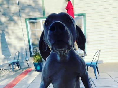 The Mill Coffee House