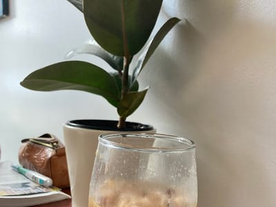 The Moon Coffee and Tea House