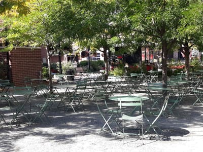 The O.Coffee Company