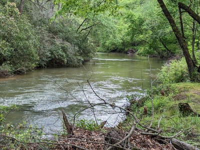 The Open Door at Alley's Ol' Store