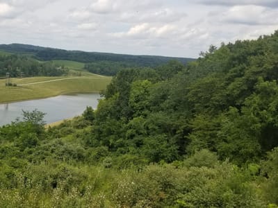 The Overlook Cafe and Gift Shop